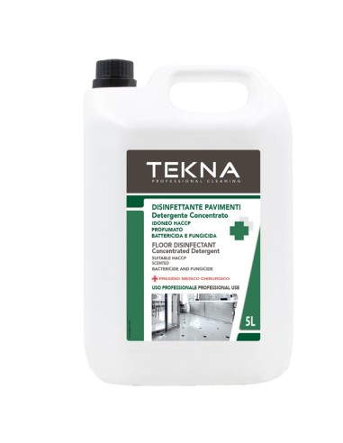 Disinfettante detergente Tekna