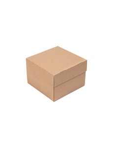Porta hamburger  asporto cm  cm 15,5x15,5x11,5 2