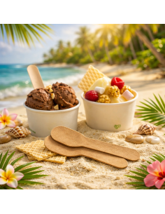 Palette Gelato Compostabili in Carta