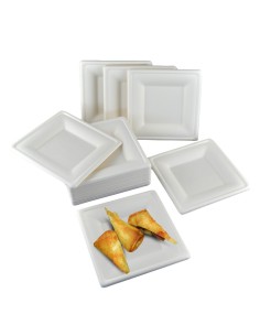 Piatto quadrato  monouso biodegradabile